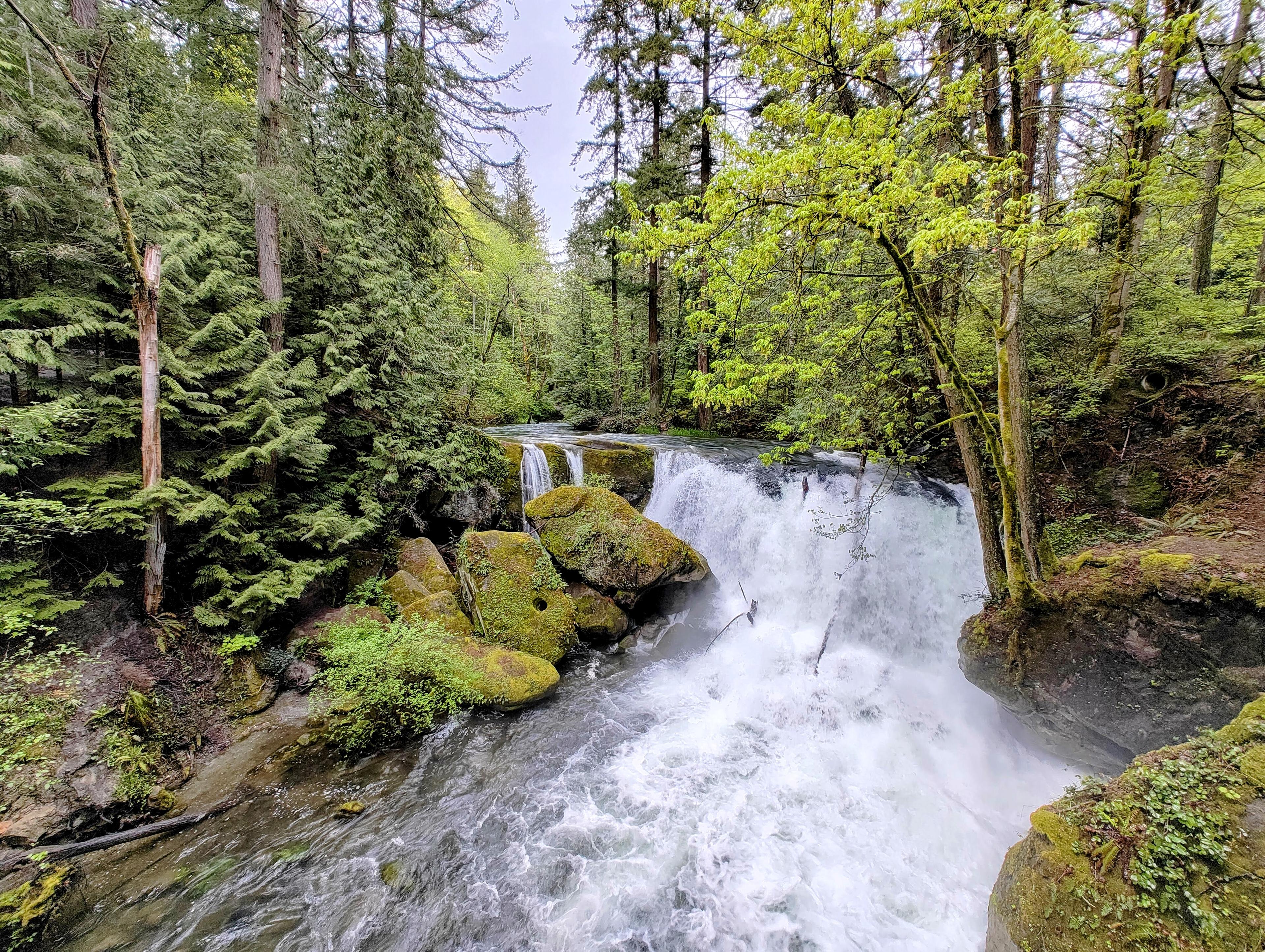 Cover Image for A New Mom's Guide to Finding Balance in Bellingham